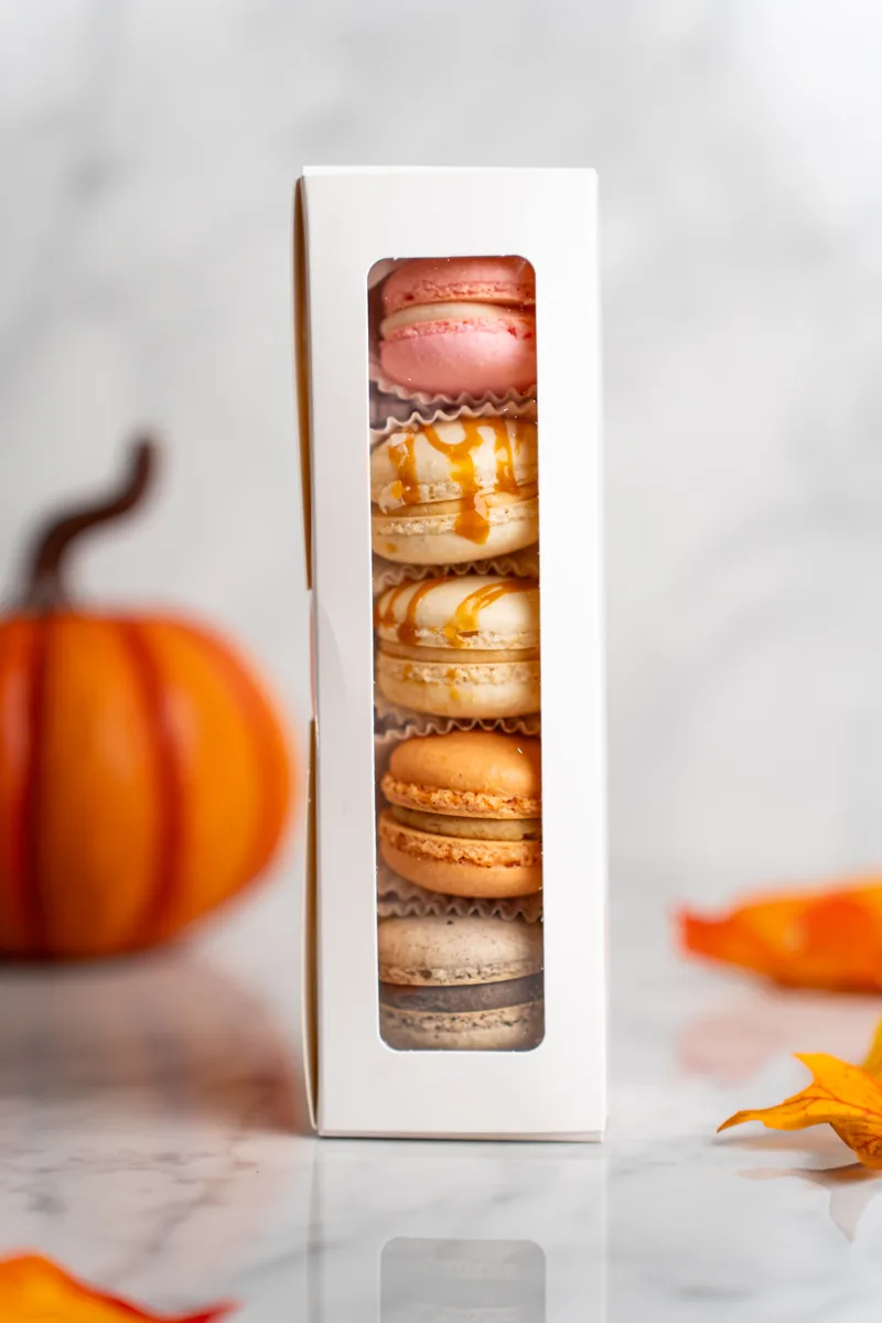 A tall sampler box of macarons standing beside a pumpkin