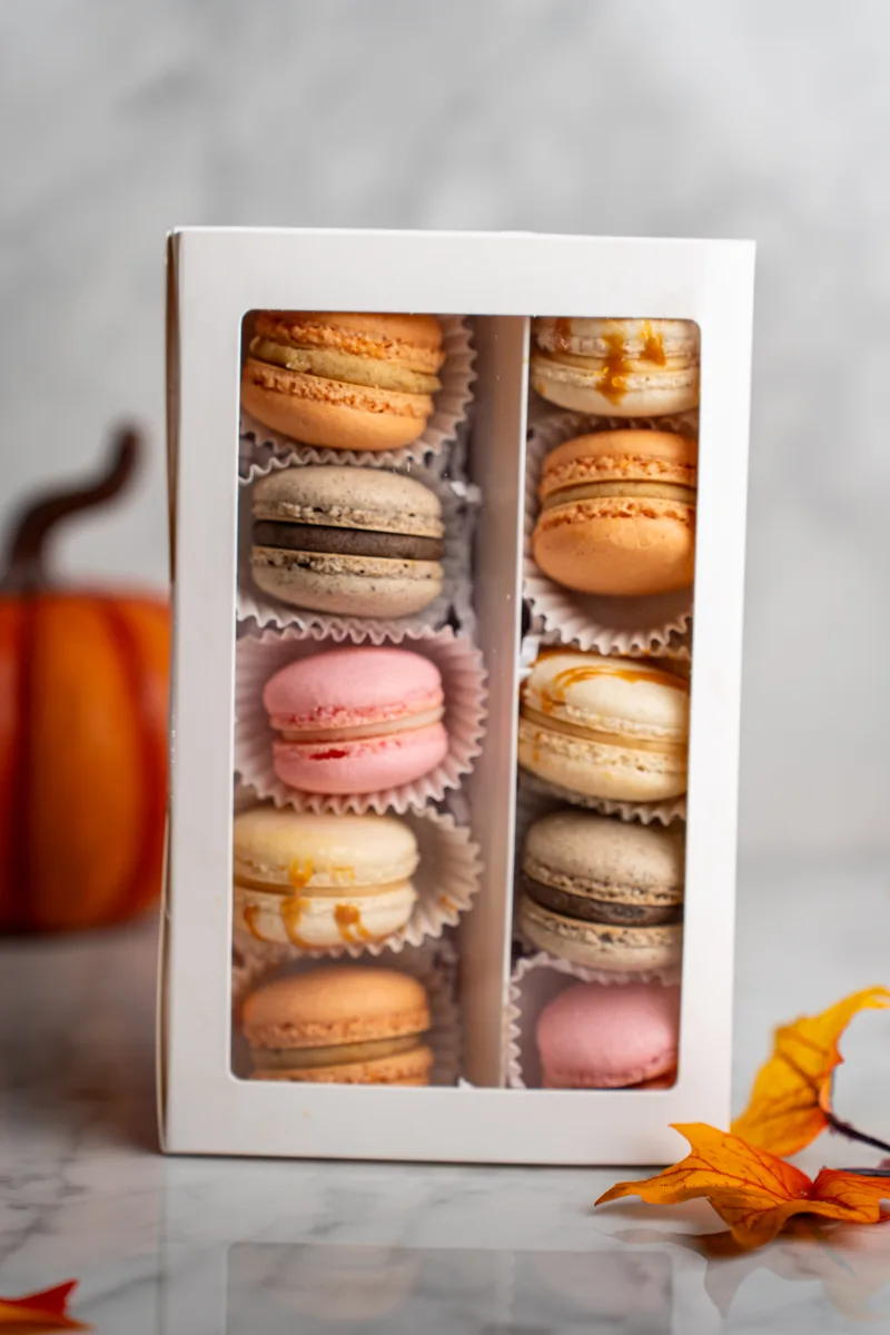 A tall window box of Baked by Brook macarons standing beside a pumpkin